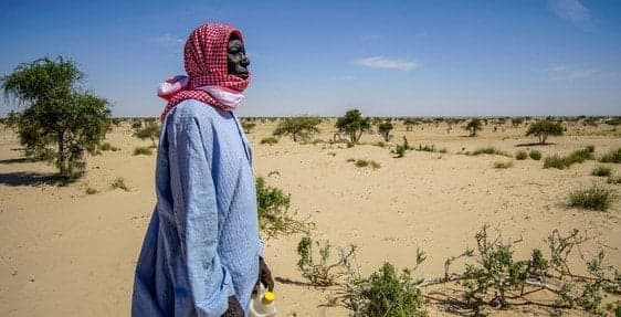 Relatório da FAO alerta: degradação do solo afecta 40% da população mundial