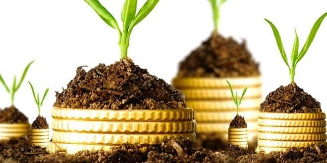 Futura PAC marcada pelos objectivos ambientais. Ministério da Agricultura garante transição gradual até 2023
