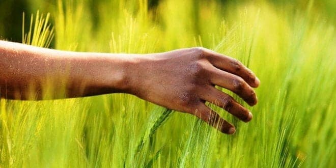 Confederação Nacional da Agricultura: crise agrícola “agrava-se com novo confinamento obrigatório”