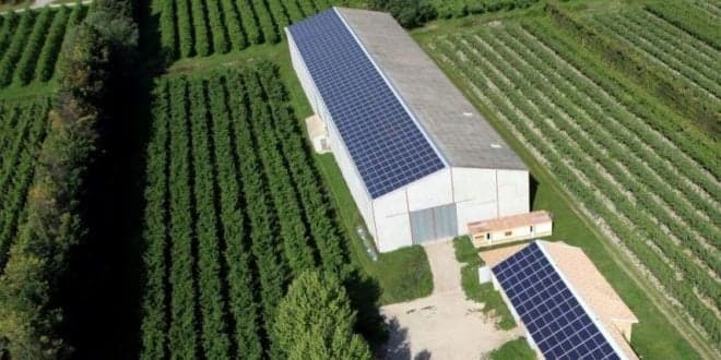 Ministra da Agricultura: explorações vão ter apoios à produção fotovoltaica para autoconsumo