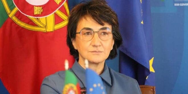 Ministra da Agricultura destaca resiliência do sector em tempo de pandemia