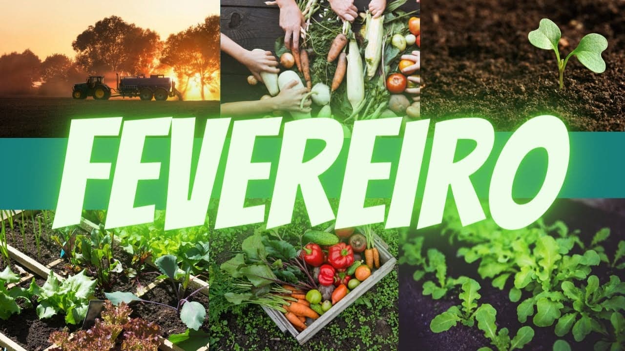 Saiba como planear as tarefas agrícolas de fevereiro: saiba o que fazer neste mês