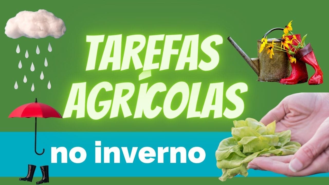 Saiba quais as principais tarefas agrícolas que deve fazer no Inverno #1