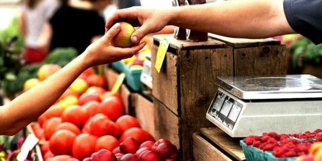 CNA: Feiras e mercados locais devem funcionar durante novo confinamento em defesa da agricultura familiar