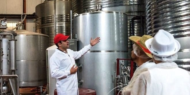 Bagaço da azeitona, borras da vinificação, fruta de refugo. Conheça os subprodutos da agricultura e saiba como os valorizar