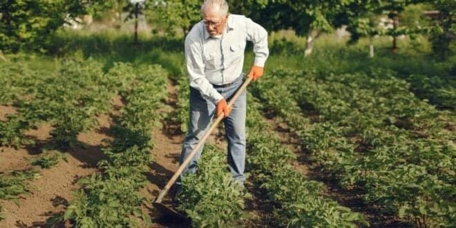 Jornadas da Agricultura Familiar realizam-se online. Participação gratuita