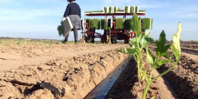 Pagamentos ao sector agroflorestal ultrapassam os 69 milhões de euros em Janeiro