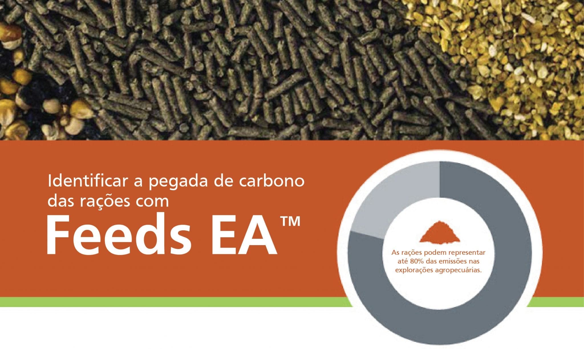 Alltech lança modelo FEEDS EAT para ajudar produtores pecuários a medir e reduzir a pegada de carbono