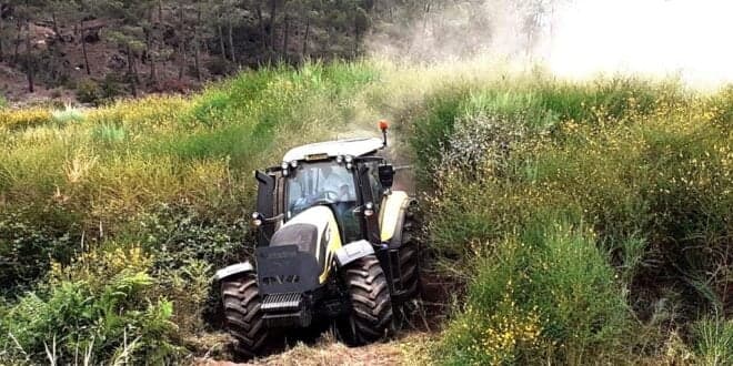 Limpeza de terrenos florestais tem de estar feita até 15 de Março. Coimas duplicaram. ICNF ajuda com sapadores florestais