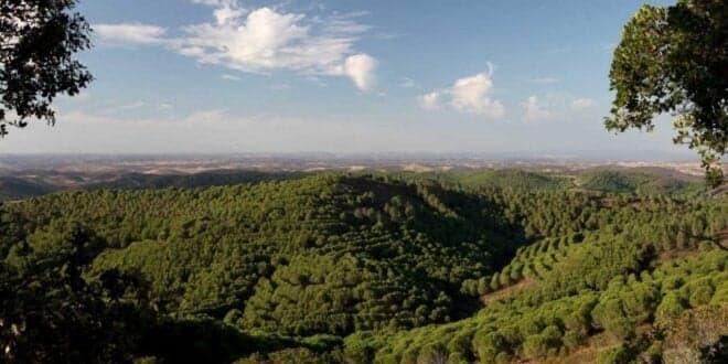 Herdade da Contenda é candidata por Portugal ao Prémio Europeu da Paisagem
