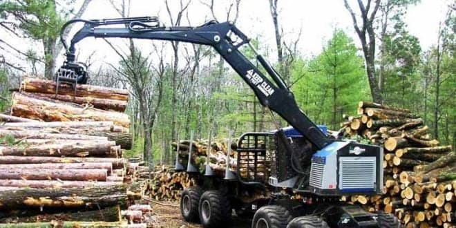 CAP analisa sector florestal e Plano de Recuperação e Resiliência. Quer participar?