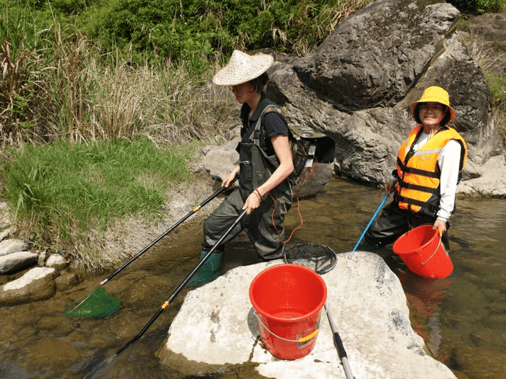 Estudo alerta para a fraca qualidade ecológica dos rios em todo o mundo