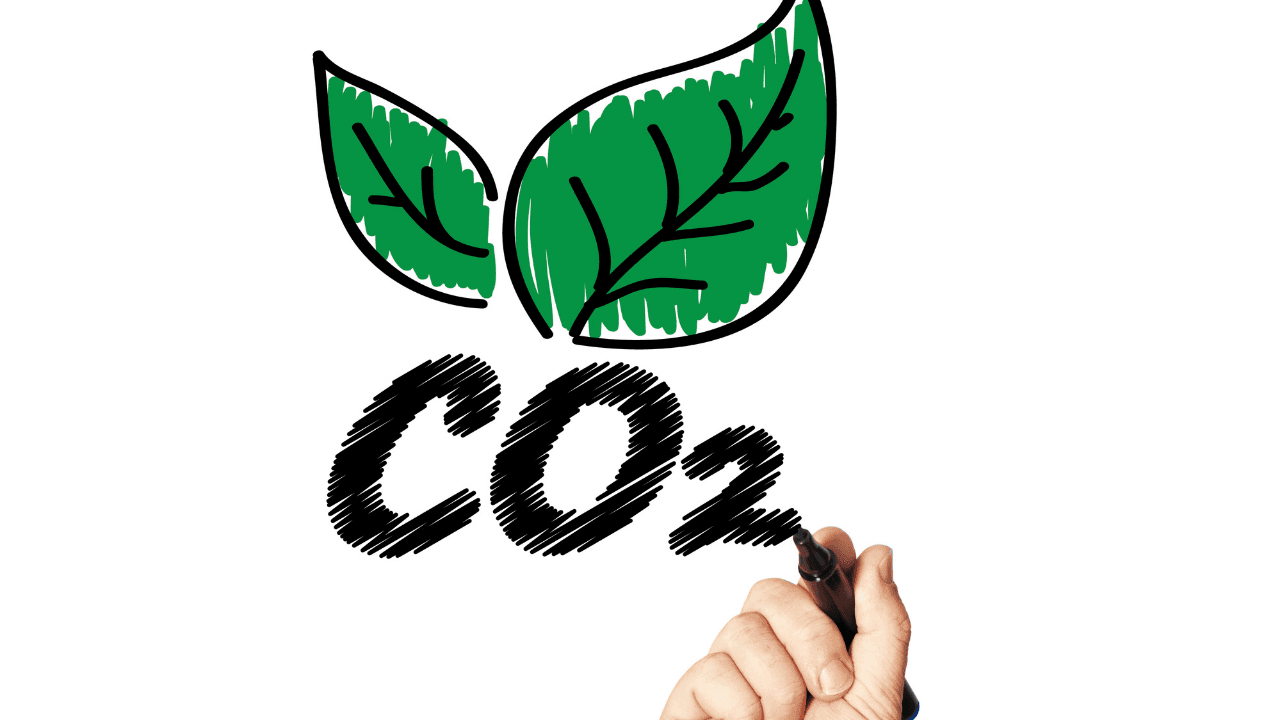 Parlamento Europeu propõe fixar preço sobre CO2 para aumentar ambição climática global