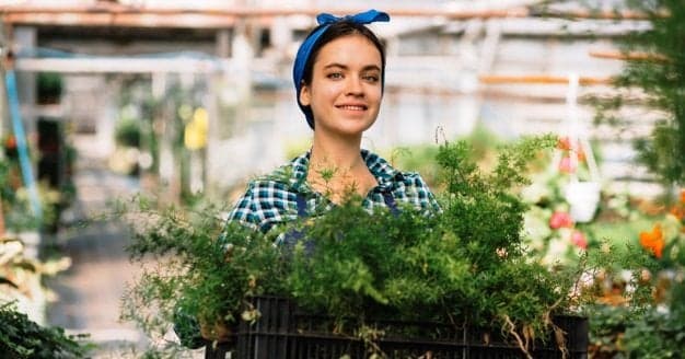 PDR 2020. Apoio à primeira instalação de jovem agricultor. Teve a sua candidatura recusada? Pode pedir reanálise