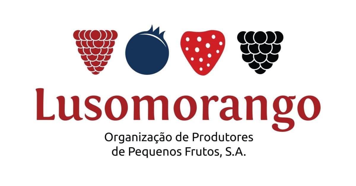 Participe na segunda conferência Universidade Católica- Lusomorango