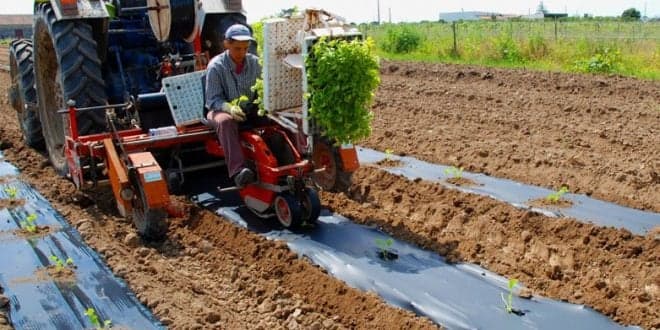 IFAP paga 33 milhões de euros ao sector agrícola em Fevereiro de 2021