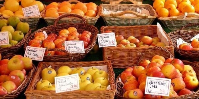 Sabe qual é fruta e legumes da época? Veja no mapa interactivo da sazonalidade das culturas