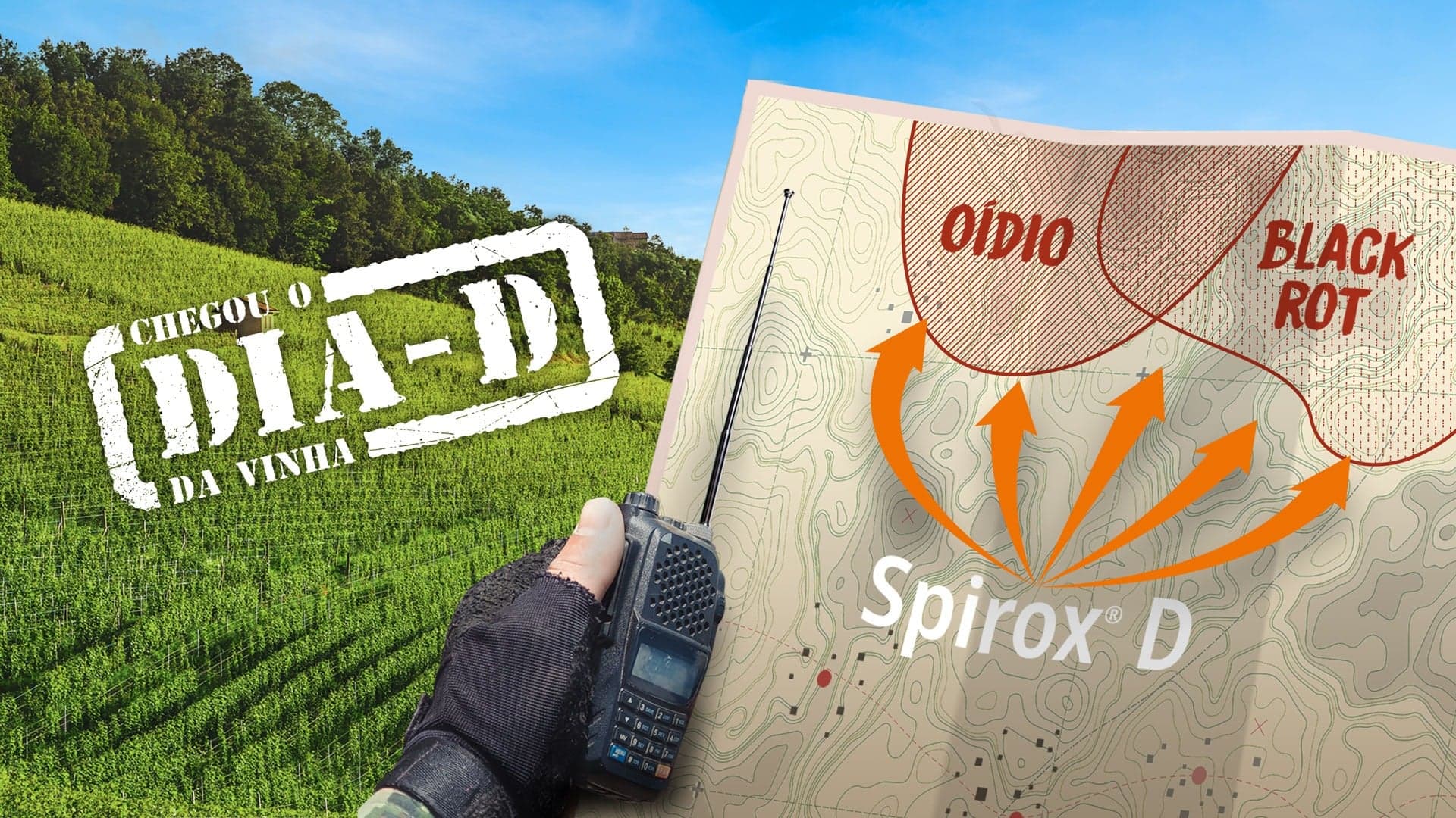 UPL lança Spirox® D – novo fungicida para controlo do oídio e black rot da videira