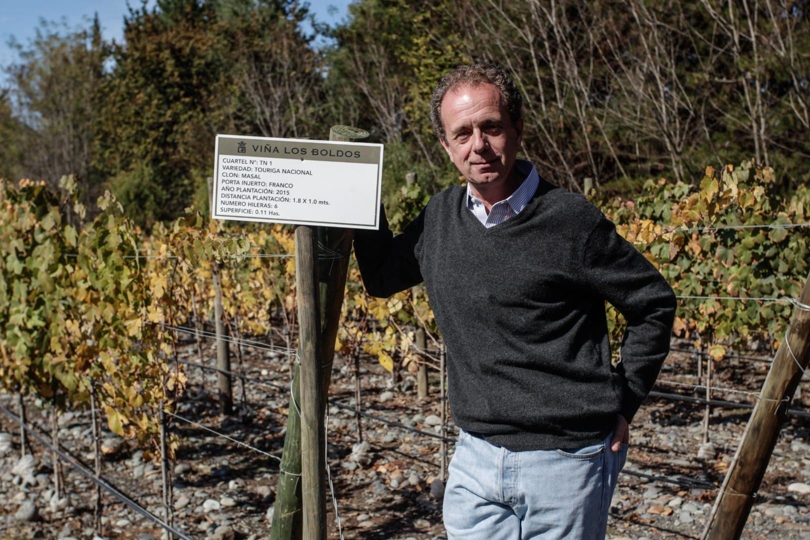 Sogrape introduz a mais reconhecida casta nacional na viticultura chilena