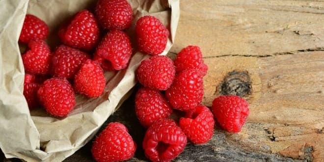 VI Colóquio Nacional da Produção de Pequenos Frutos arranca a 21 de Maio