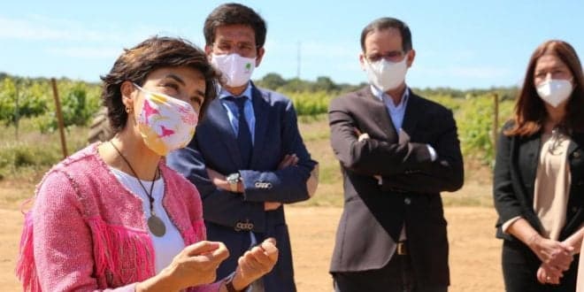 PDR 2020. Apoio à instalação de painéis fotovoltaicos em explorações agrícolas pode chegar aos 70%