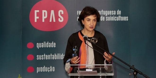 Ministra da Agricultura: PDR 2020 vai apoiar certificação de explorações pecuárias no âmbito do bem-estar animal