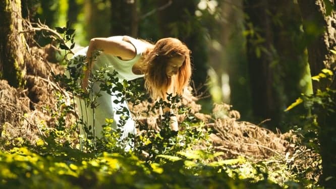 Três razões para ‘dar um mergulho’ nos banhos de floresta