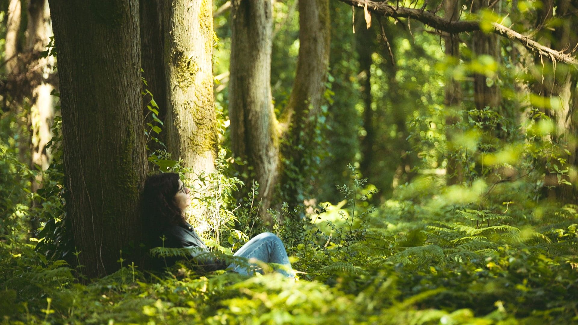Forest Therapy na gestão de Recursos Humanos: saiba mais aqui