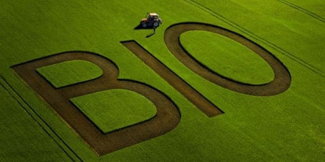 PAN: maioria dos apoios à agricultura biológica foi absorvida pelas pastagens. “Não faz qualquer sentido este investimento”