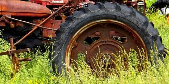 Tem terrenos florestais abandonados? Arrendamento forçado de prédios rústicos entra em vigor a 1 de Julho