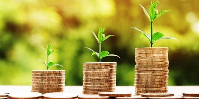 Ministério da Agricultura anuncia apoio de 11,1 M€ a agricultores e PME afectados pela Covid-19