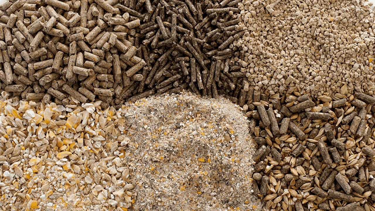 Alimentação Animal pressionada pelo aumento do preço das matérias-primas