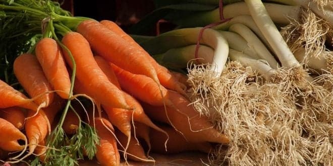 Catálogo Nacional de Variedades de Espécies Agrícolas e Hortícolas. DGAV publica edição de 2021
