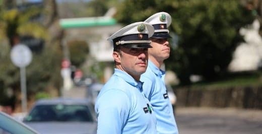 GNR faz acção de fiscalização à apanha e comércio de alfarroba no Algarve e recupera 3.720 quilos furtados