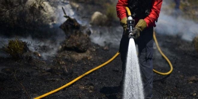 Até 31 de Julho arderam 1.589 ha de terrenos agrícolas. Área total ardida está 39,4% abaixo de 2020