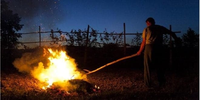 Atenção às queimadas. Sabe que pode ser preso? Trabalhos de manutenção e limpeza de caminho florestal podem levar a coima grave
