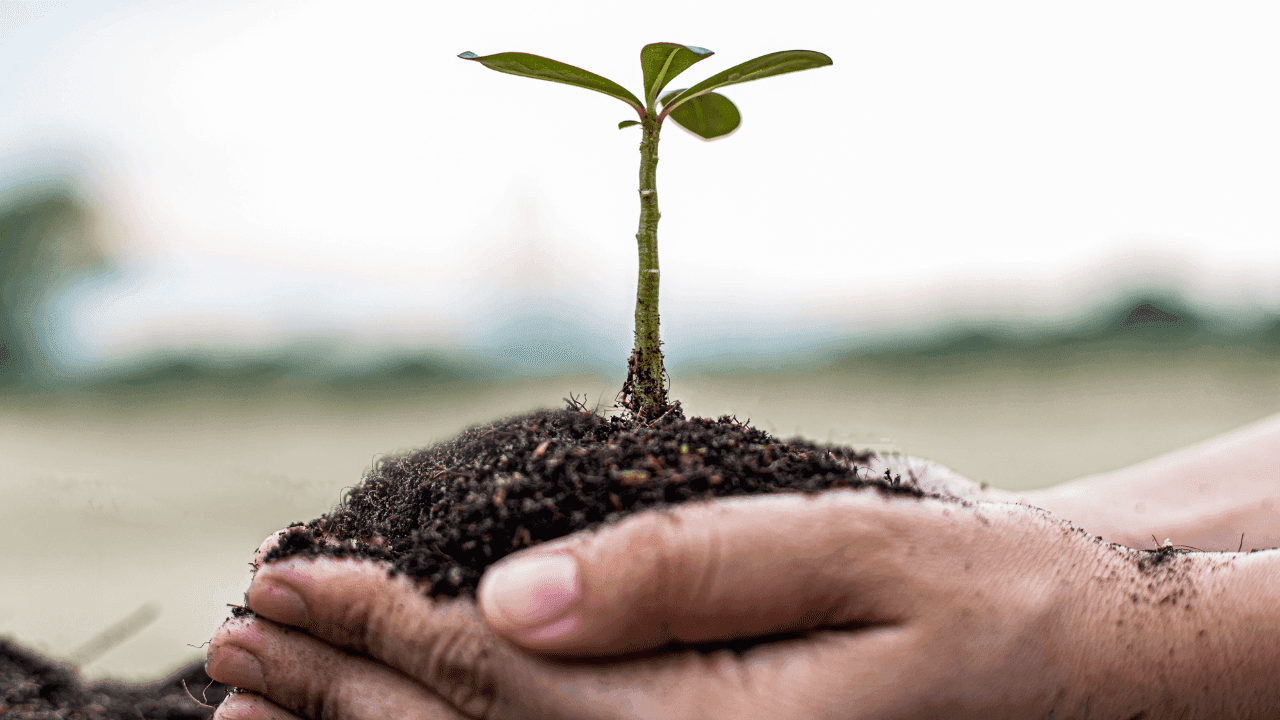 A agricultura nacional no contexto do Green Deal: menos fertilizantes minerais mas mais pesticidas face à média da UE - 2020