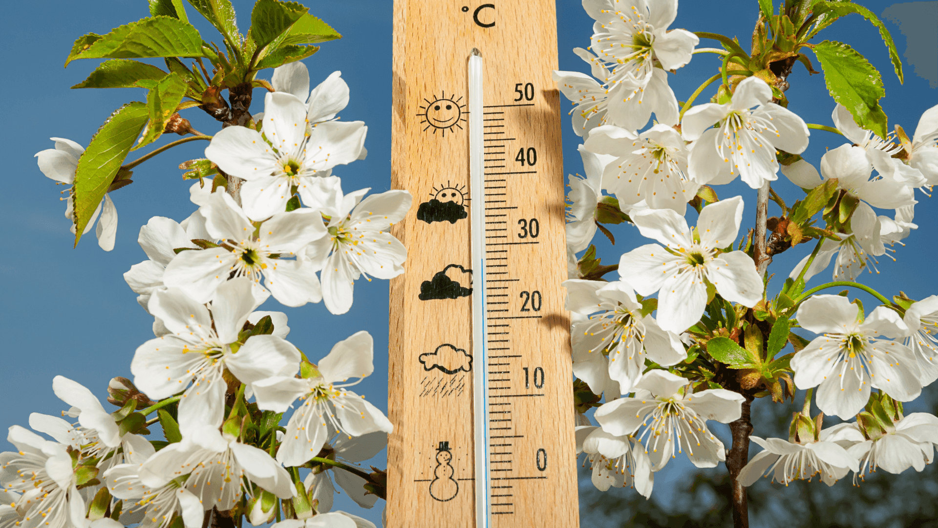 Saiba como proteger as culturas das altas temperaturas com soluções práticas