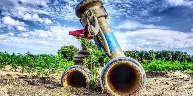 PDR 2020: candidaturas a apoios à modernização de regadios colectivos tradicionais podem ser feitas até 30 de Setembro