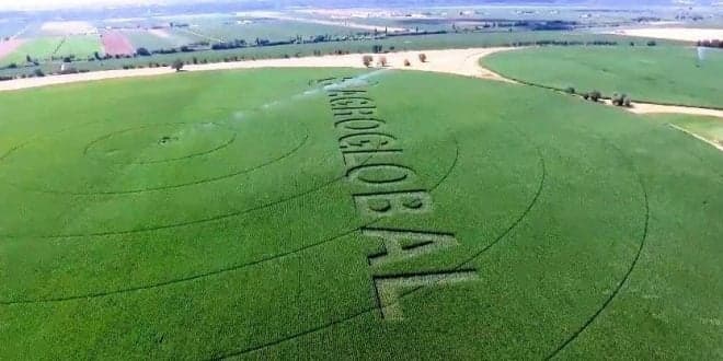 AgroGlobal no CNEMA? “Vamo-nos juntar para evitar que a AgroGlobal caia nas mãos erradas”. Petição em curso a defender a Feira em pleno campo