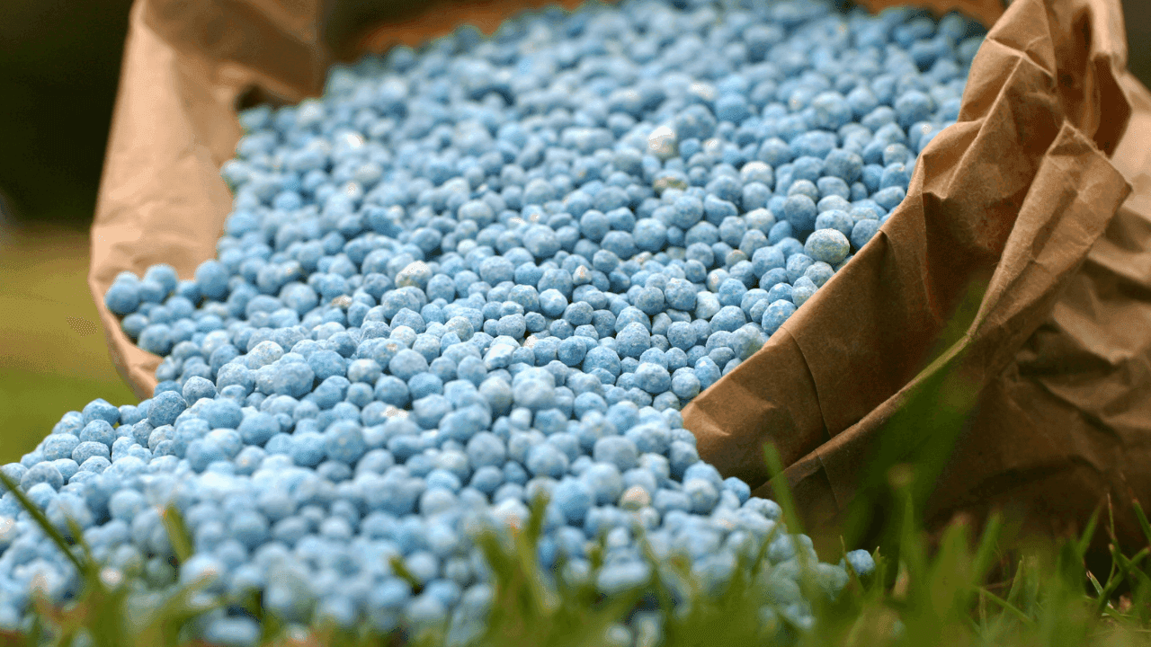 Custo de produção na agricultura aumenta 36% em Dezembro. Adubos sobem 167%