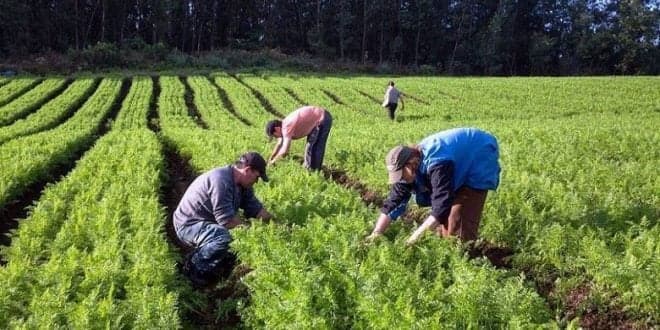 Estatuto da Agricultura Familiar tem validade prolongada de 1 para 3 anos