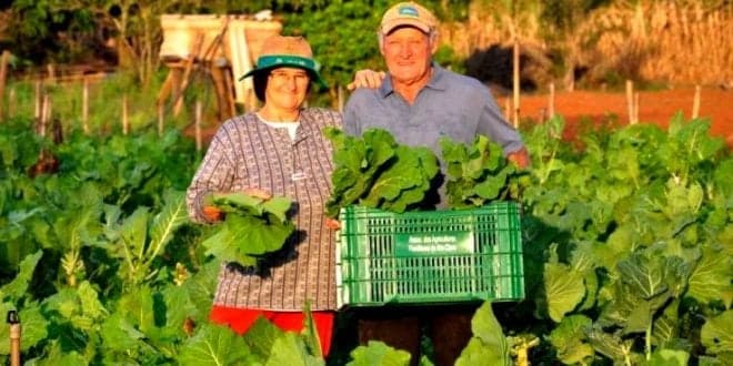 OE 2022: Agricultura Familiar vai ter apoio de 3 milhões de euros do PDR 2020