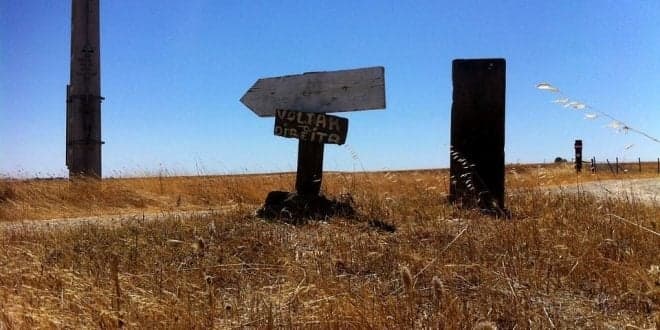 OE 2022 tem apoios para quem se fixar no interior e desenvolva actividade na agricultura, floresta e recursos endógenos