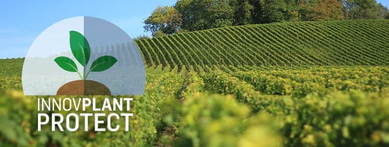 InnovPlantProtect is hiring: MSc Researcher for the Department of Protection of Specific Crops - Job advertisement – Reference InnovPP014/2021