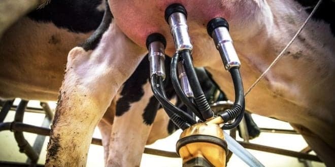 PDR 2020. Candidaturas à Operação 3.2.1 – Investimento na Exploração Agrícola até 31 de Março