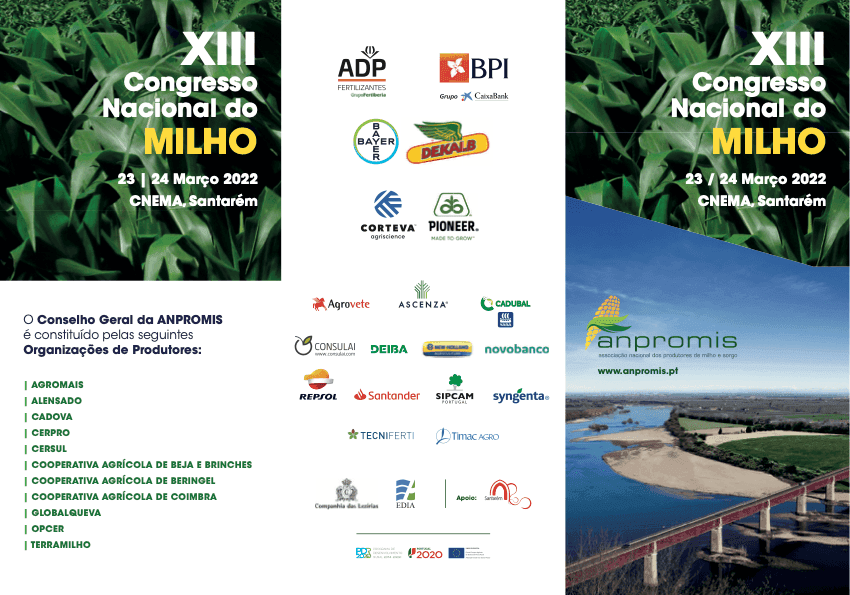 600 produtores de milho debatem futuro do mercado das matérias-primas em cenário de preços altos e ameaça de rutura de stocks