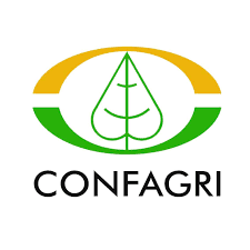CONFAGRI discute medidas urgentes em reunião com Ministra da Agricultura