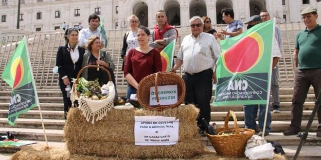 CNA exige controlo do preço do gasóleo agrícola por parte do Governo