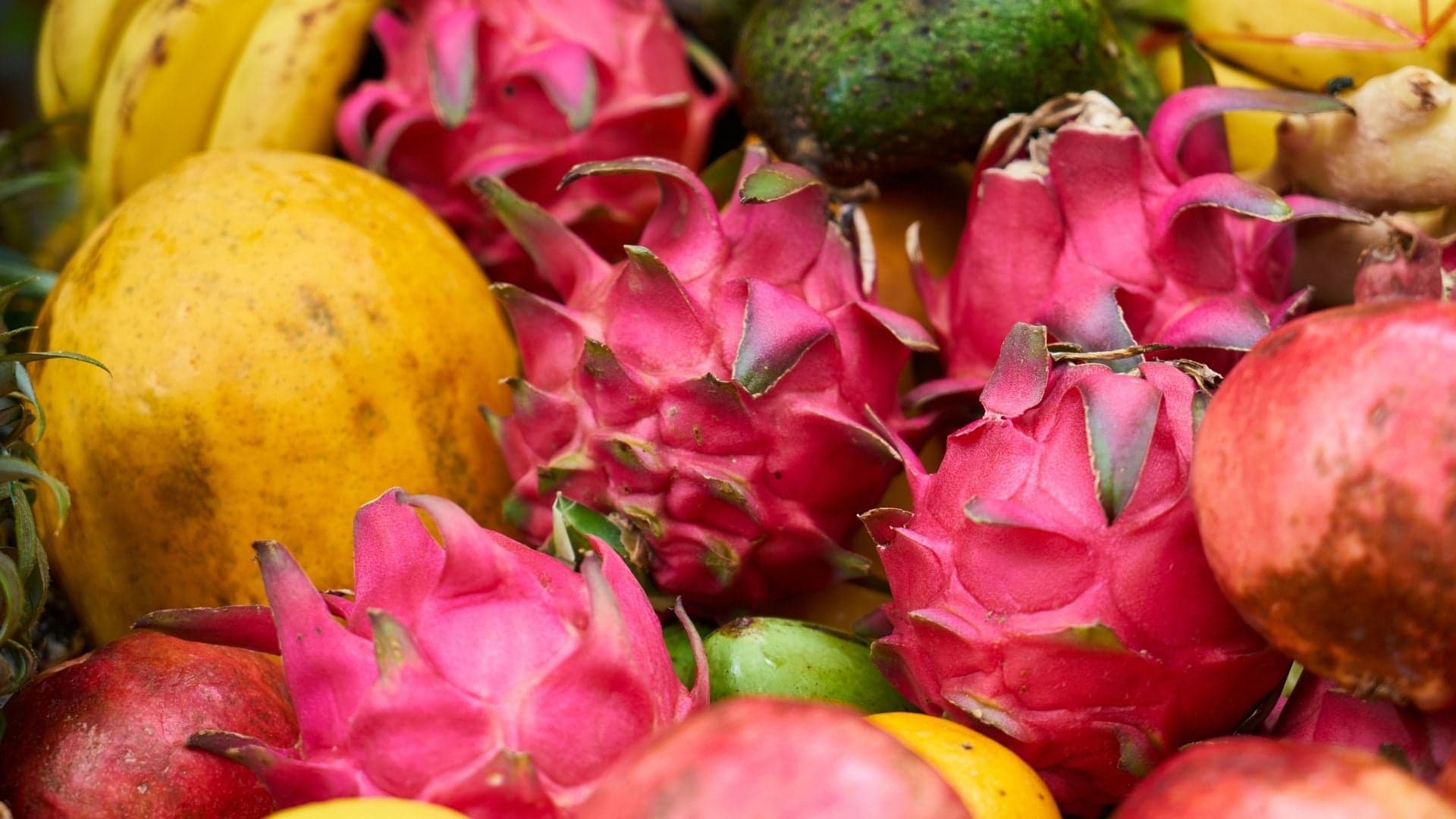 10 fruteiras tropicais para cultivar em Portugal